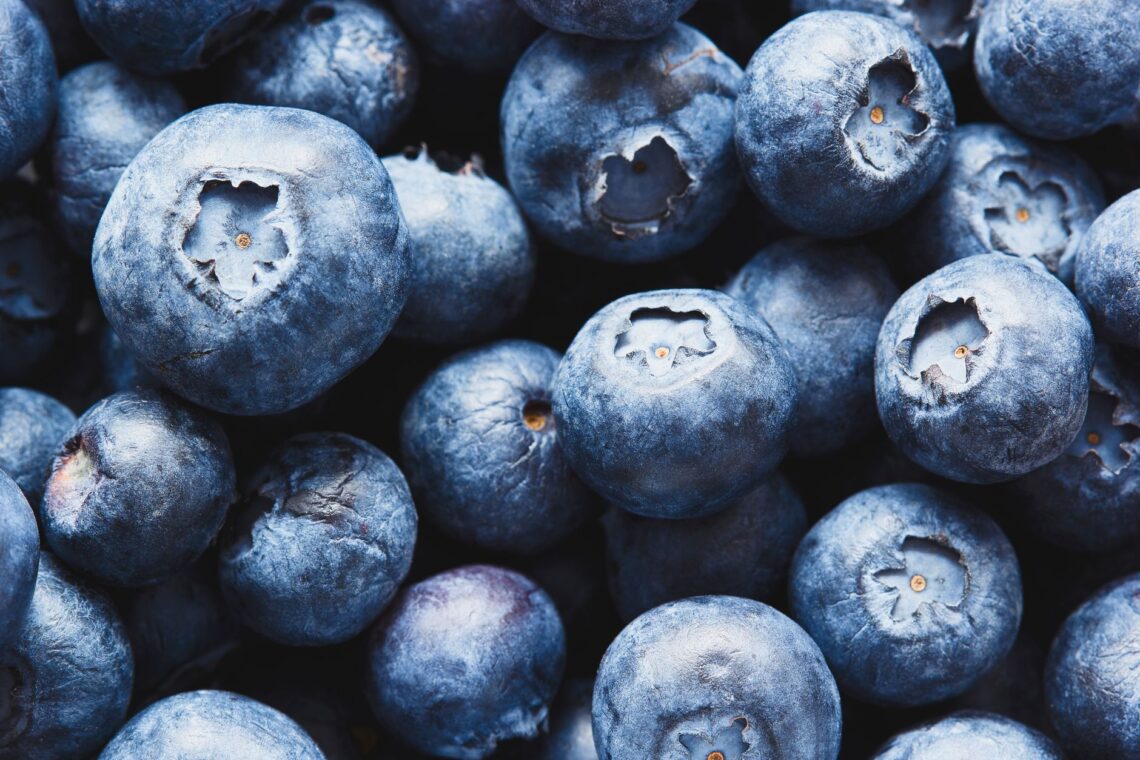 a close up shot of blueberries