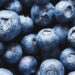 a close up shot of blueberries